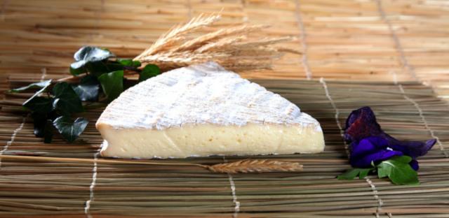 100 Paillons de seigle naturel 35 x 35 cm pour fromagerie – Image 3