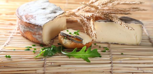 100 Paillons de seigle naturel 35 x 35 cm pour fromagerie